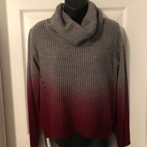 Venus Sweater NWOT